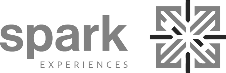 Spark Logo 2 1